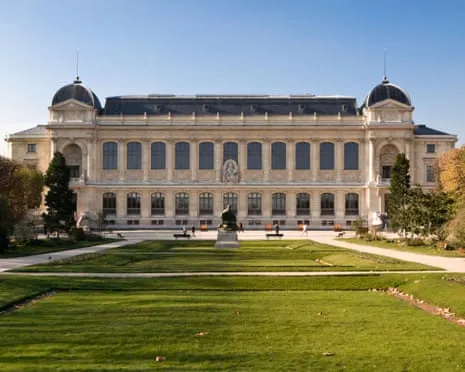 Historic Gold Pieces Snatched in Audacious Robbery at France's Natural History Institution